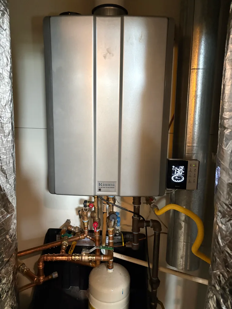 Rinnai tankless water heater